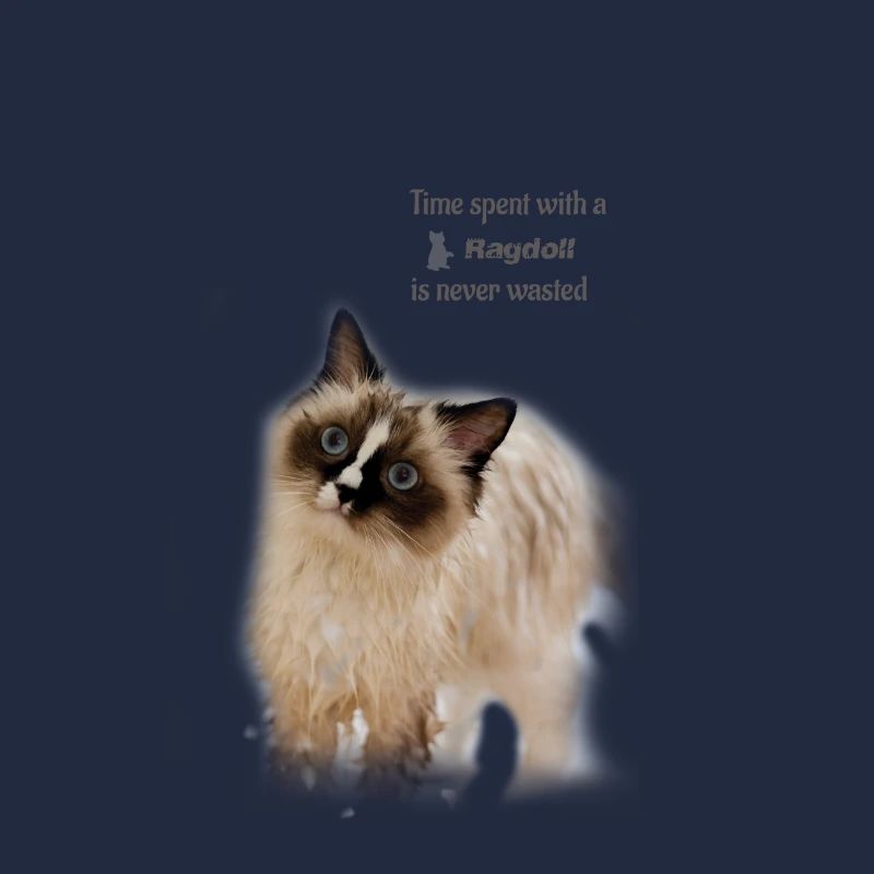 Temps passé avec un Ragdoll - idée cadeau