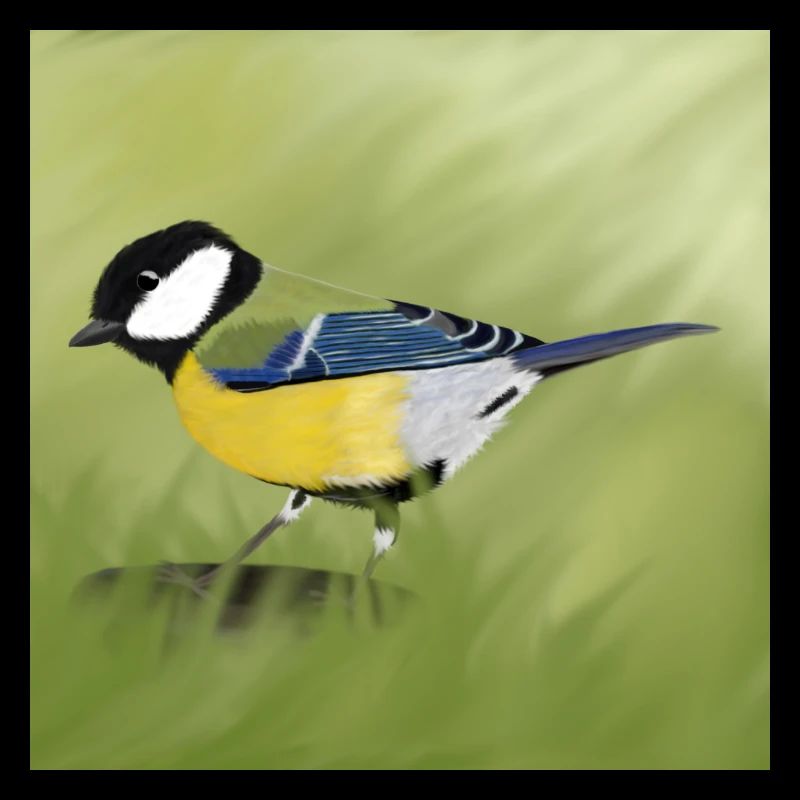 mésange