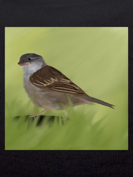 Sparrow