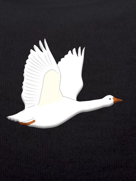 Goose flies