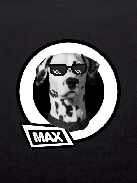 Dalmatian max sunglasses