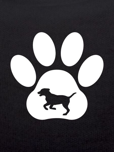 Dog's paw