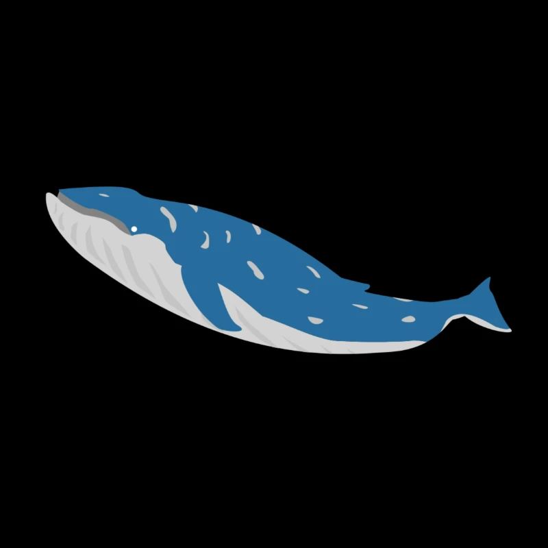 baleines bleues