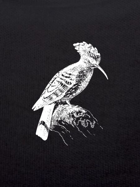 woodpecker