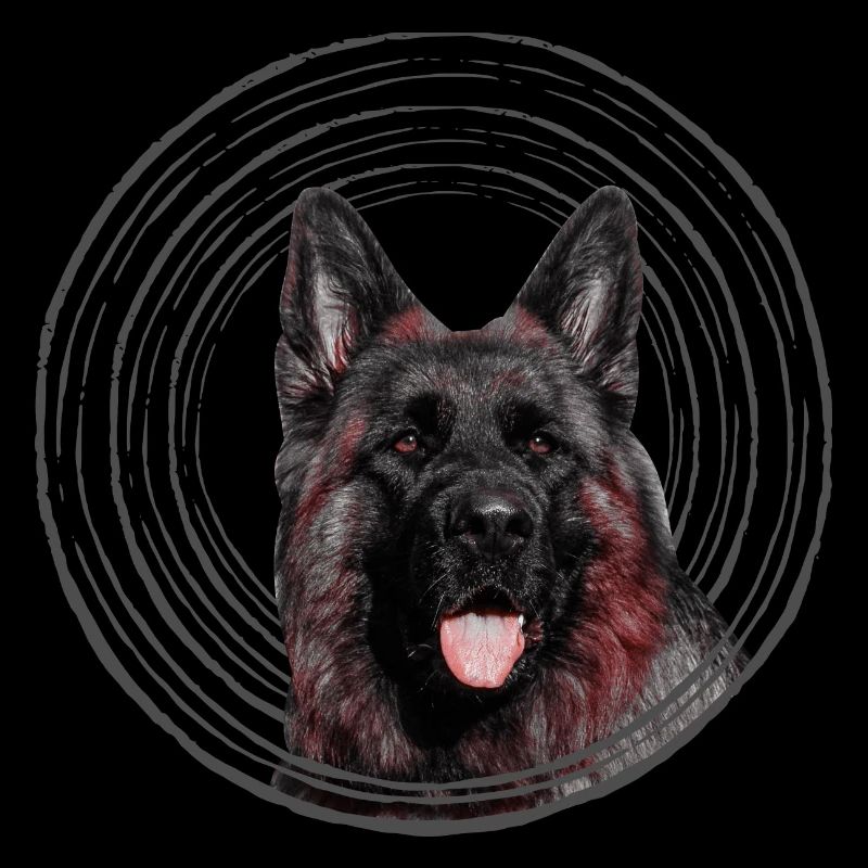 German shepherd