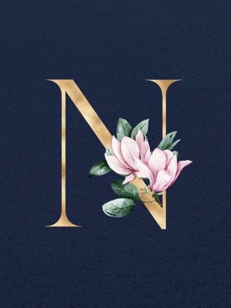 Alphabet N
