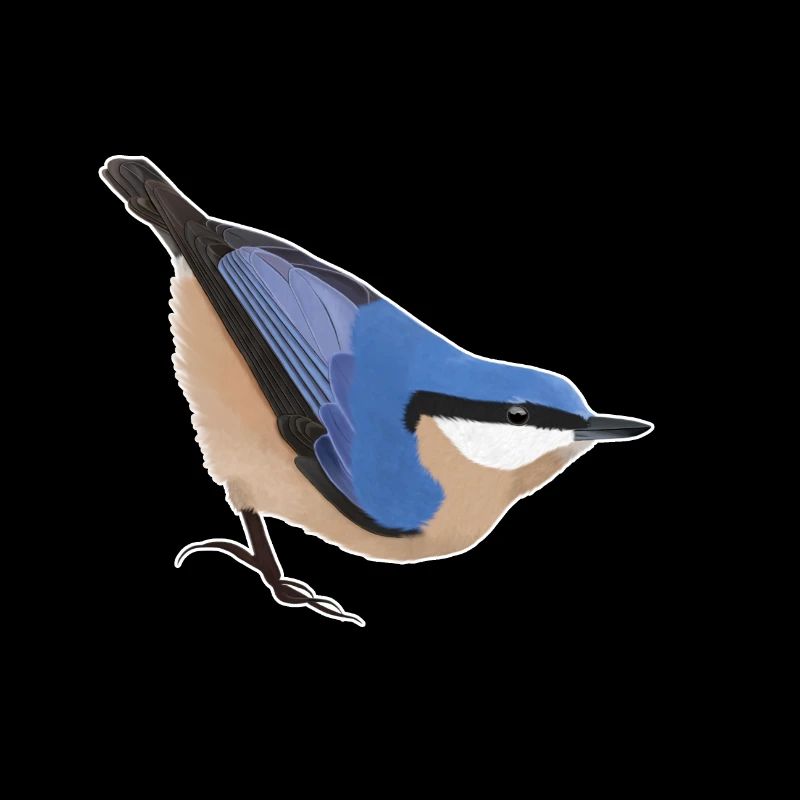 jz.birds nuthatch bird design