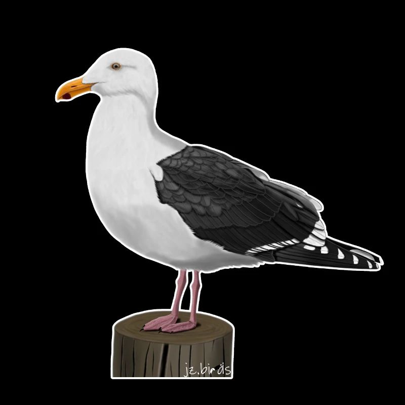 conception d'oiseau de mouette jz.birds