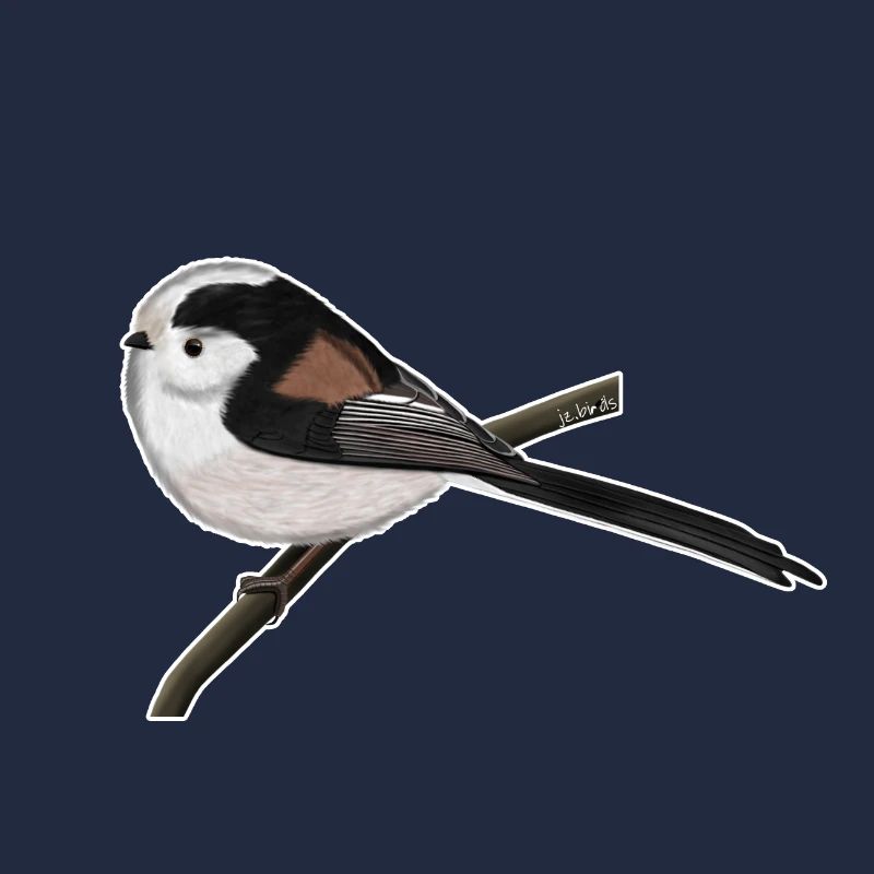 jz.birds long-tailed tit bird design