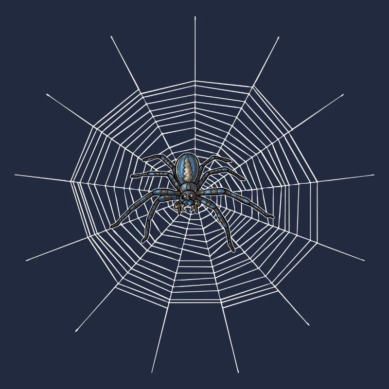 Spinnennetz