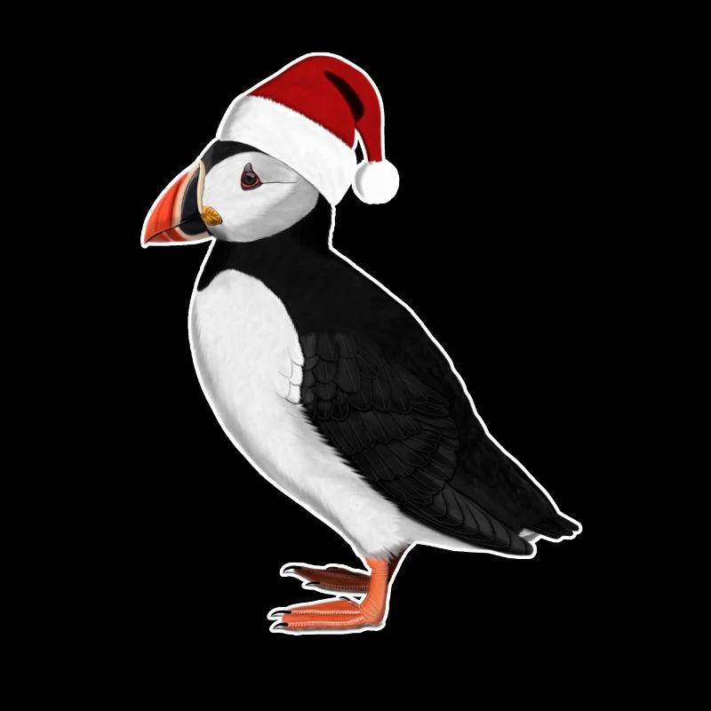 Macareux peint avec Bonnet de Noel