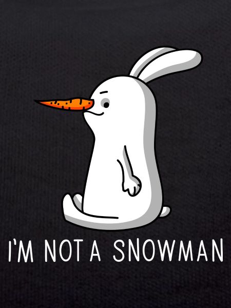 Rabbit with carrot nose