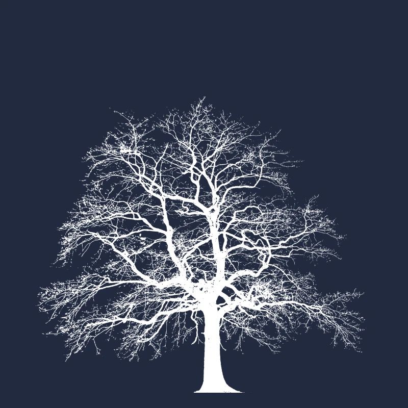 Baum