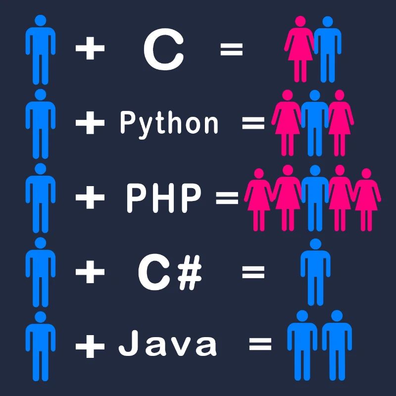 Programmer