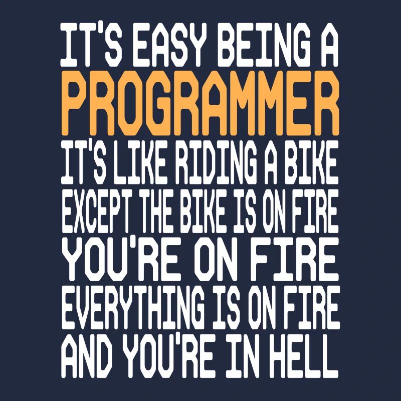 Programmer