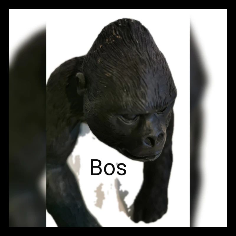 Gorilla