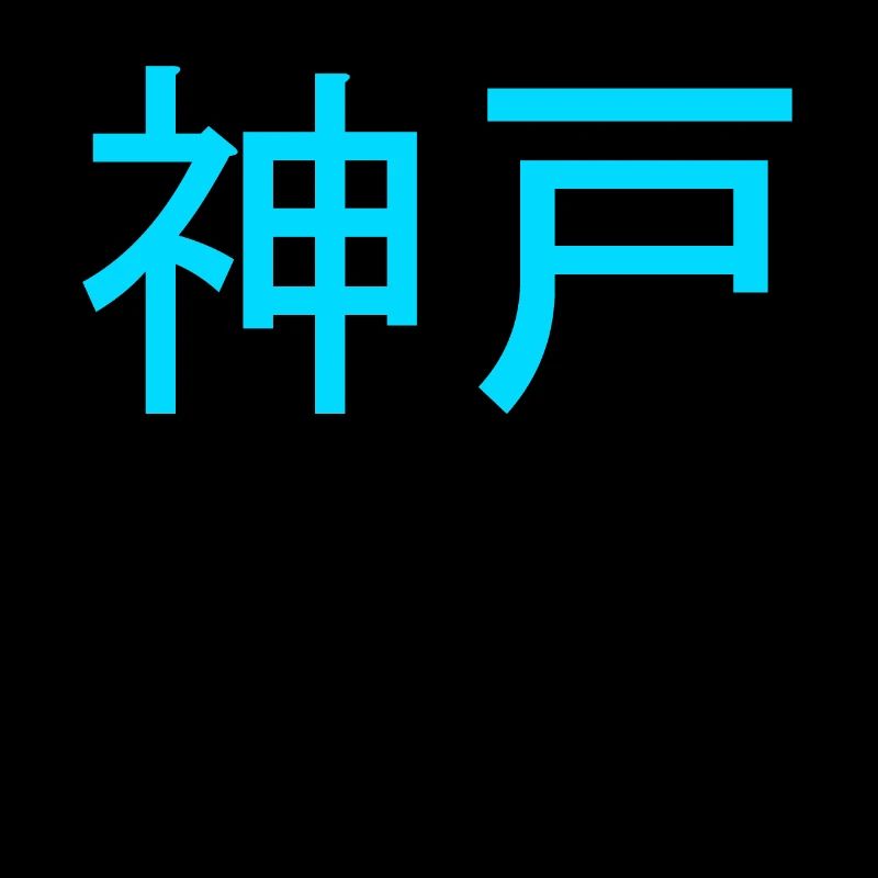 timelessly beautiful Japanese writing Kanji decor