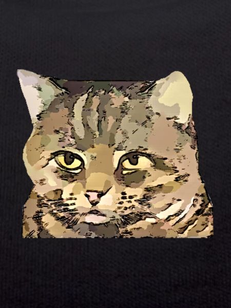 Katze