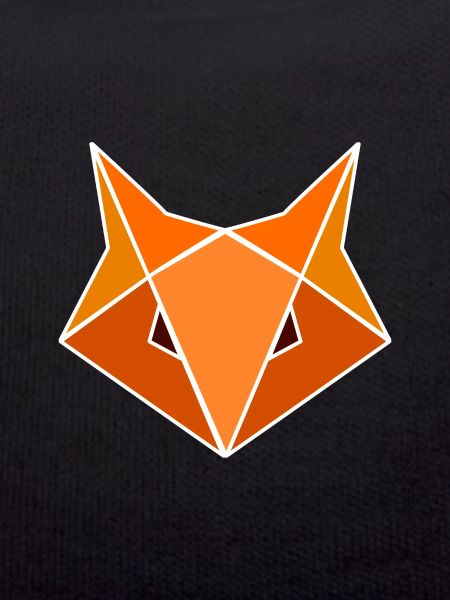 Geometrischer Fuchs