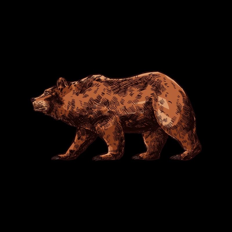 Bear shirt