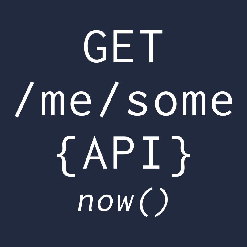 Api Programming Informatic Geschenk Spruch