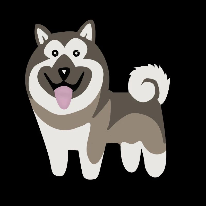 Niedlicher Hund, Norwegischer Elchhund