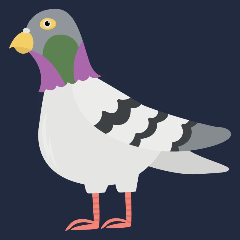 Pigeon