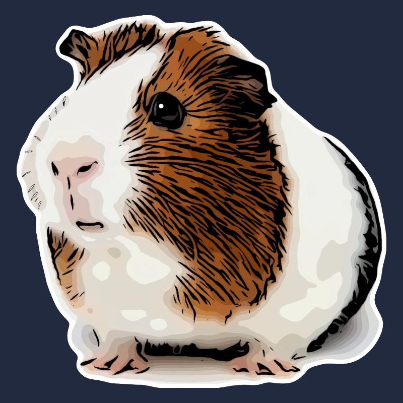 cochon d’Inde doux