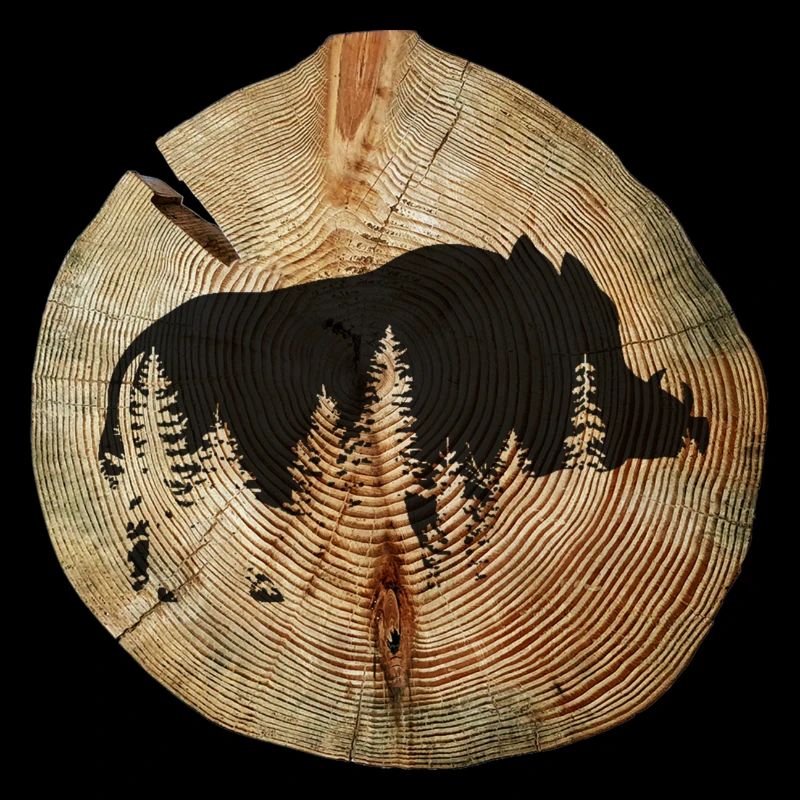 Tree disc wild boar