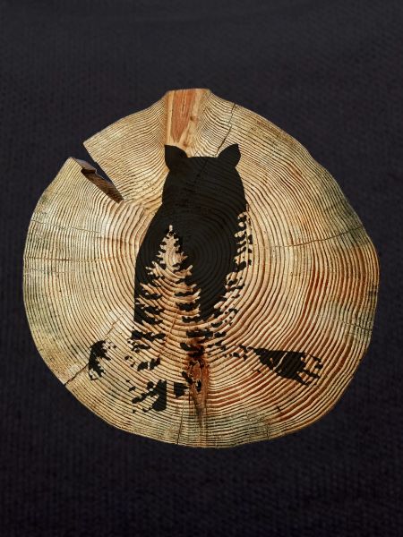 Tree Disc Owl