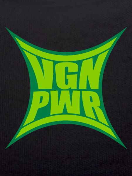 Conception VGN PWR