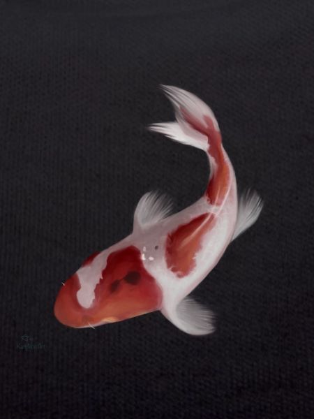 Koi fish