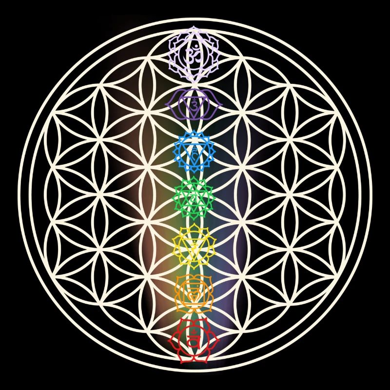 chakra regenbogen yoga symbol lebensblume