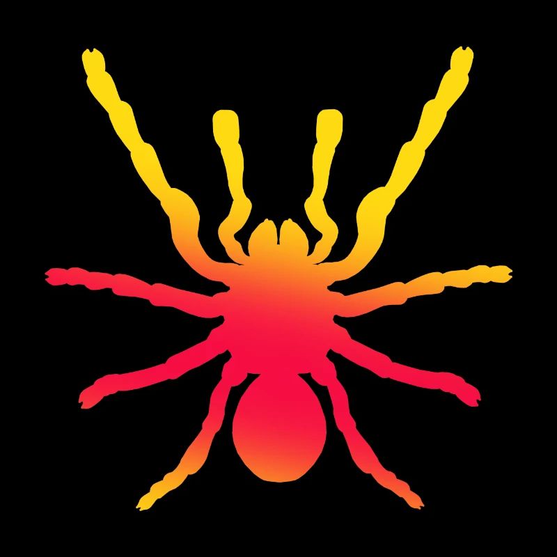 Araignée, arachnide
