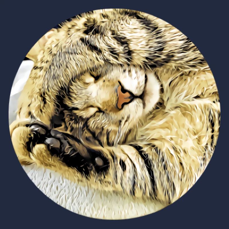 Chubby sleeping tabby cat