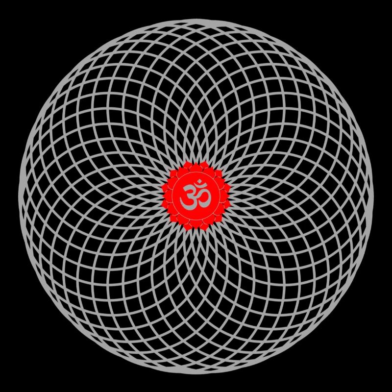 torus blume des Lebens om mantra chakra yoga