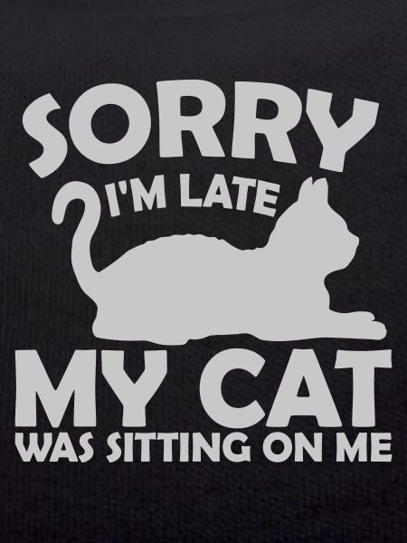 désolé chat était assis