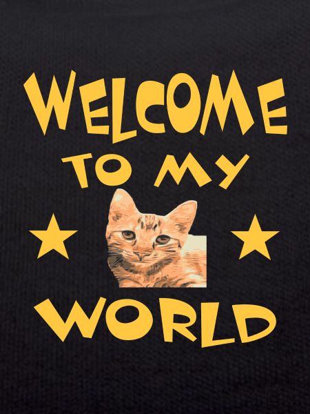 Chat