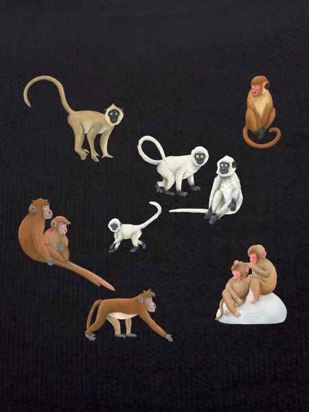 Asian monkeys