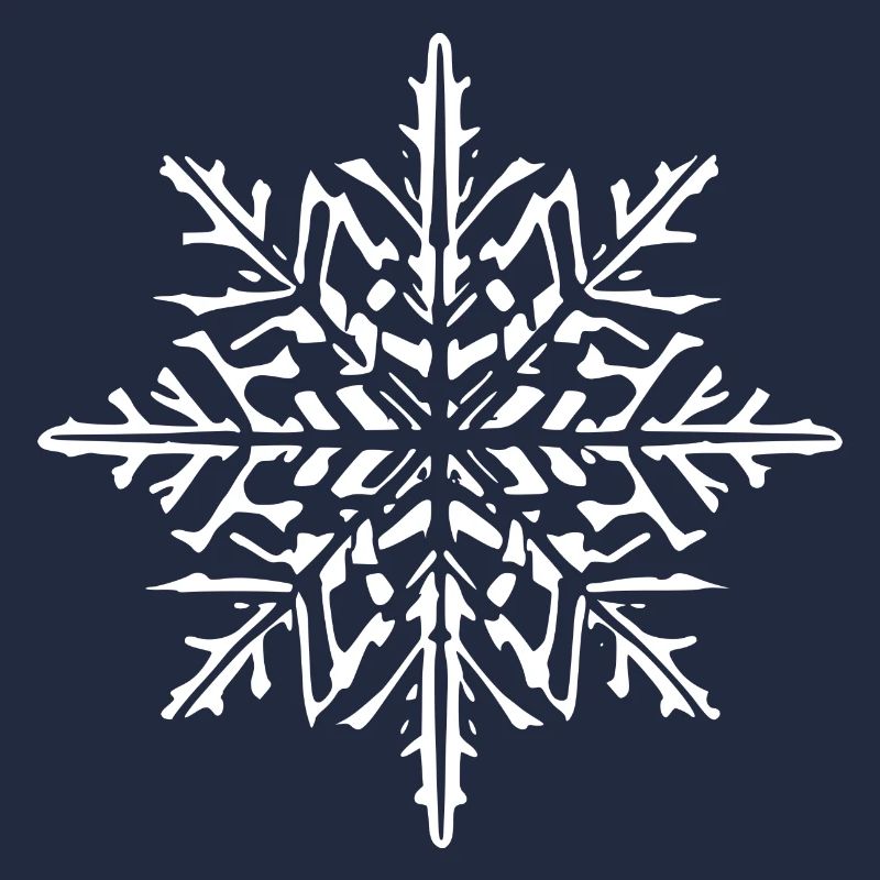 Snowflake Snow Winter Christmas Cold 3