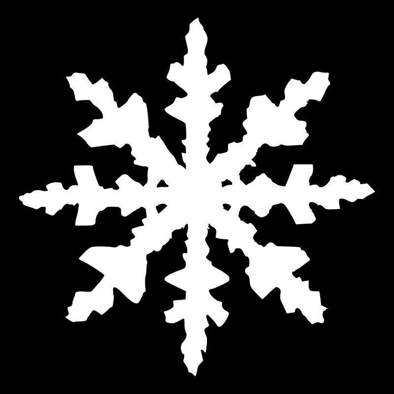 Snowflake Snow Winter Christmas Cold 10
