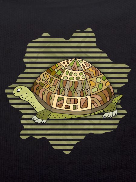 Tortoise