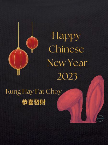 Chinese new year 2023
