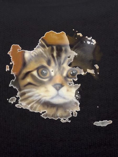 Cat face 10