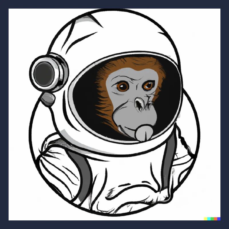SPACE MONKEY