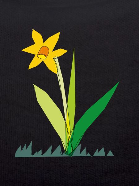 Spring Flower Daffodil