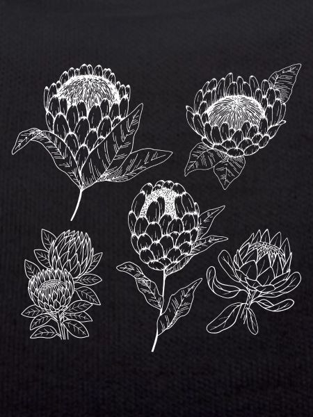 Protea flower group