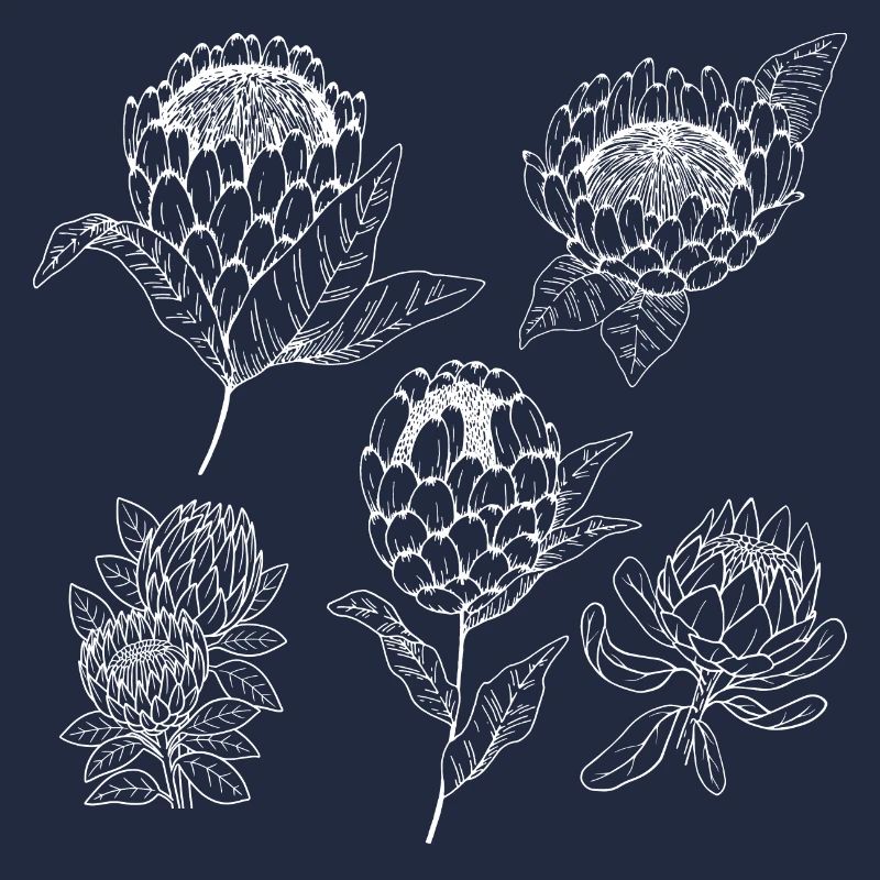 Protea flower group