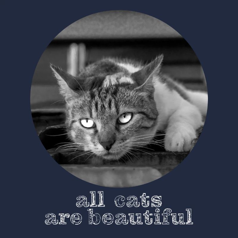 All cats are beautiful