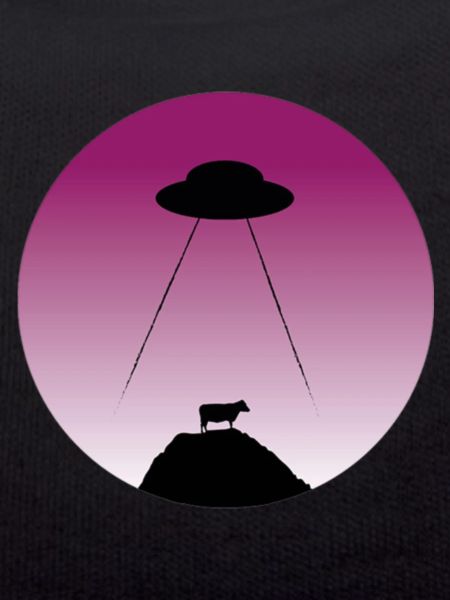 Alien abduction